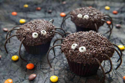 Spider halloween cupcake