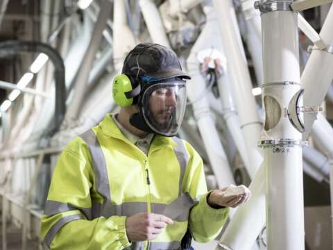 Miller worker inspecting flour