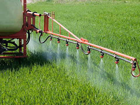 Pesticides