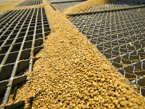 Physical contaminants stock photo