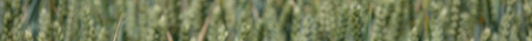 Getty Images 2060605521